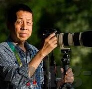 美国对墨西哥足球 比分-绿茵烽火,美国与墨西哥足球对决的比分传奇