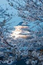 怎么买足球比分彩票-理性购彩指南,怎么科学选购足球比分彩票